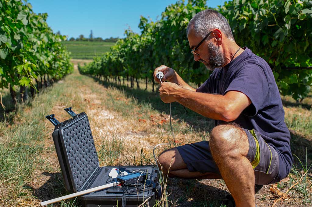 Monitoraggio Cantine Vitivinicole Installazione Sensori | SITIP TELECOMUNICAZIONI