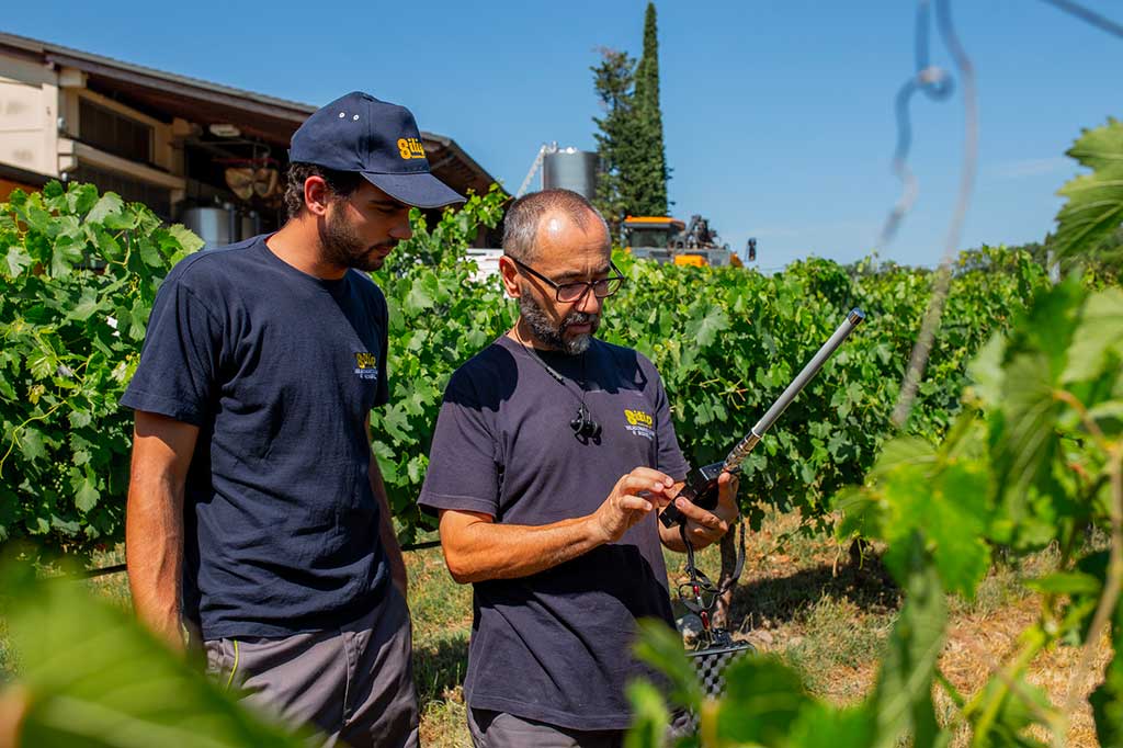 Qualità dell’ Aria Cantine Vitivinicole Verona | SITIP TELECOMUNICAZIONI