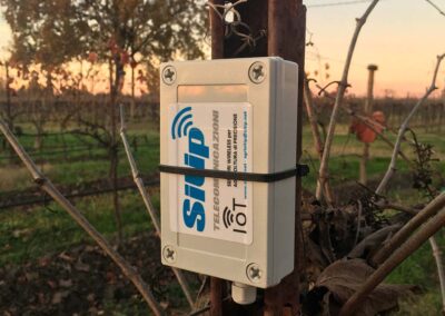 Sensore IoT per l’Agricoltura | SITIP TELECOMUNICAZIONI