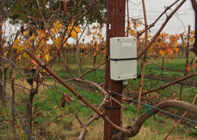 Sensori Wireless in Vigna | SITIP TELECOMUNICAZIONI