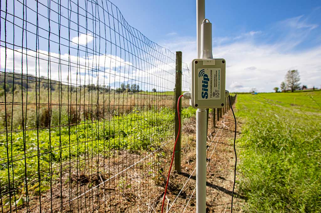 Come controllare se funziona una recinzione elettrica? | SITIP TELECOMUNICAZIONI